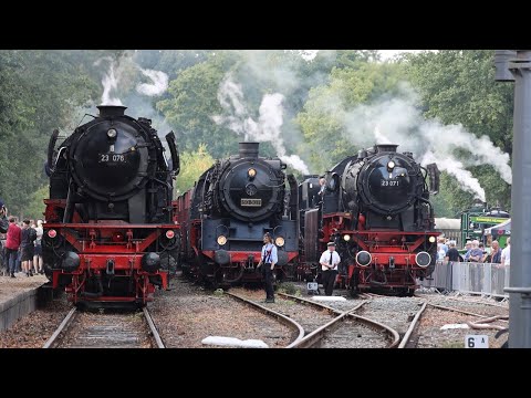 Stoomtreinfestival VSM | Terug Naar Toen 2025 | Veluwse Stoomtrein Maatschappij in 4K