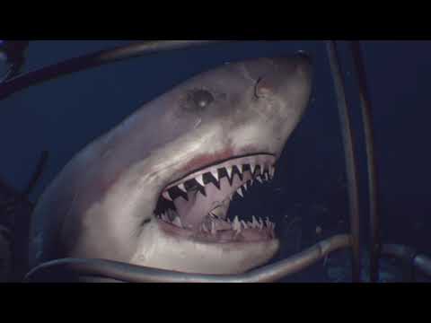 PlayStation VR Worlds: Ocean Descent - Shark Encounter (PS5)(PSVR)(4K HDR)