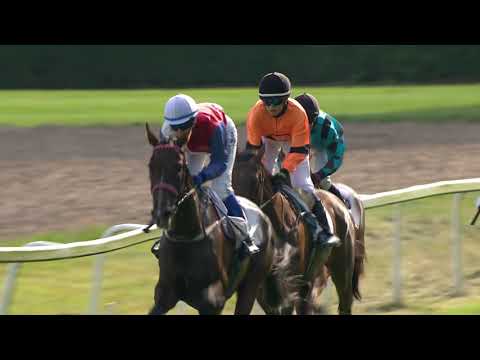 PE, 24. 7. 2020, 1. dostih - Cena za podpory firmy daňového poradce Ing. Petra Beneše Pardubice