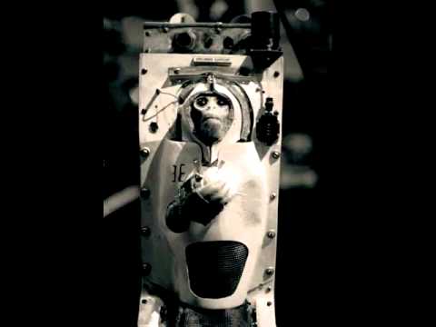Sexton Ming - Monkeys in Space
