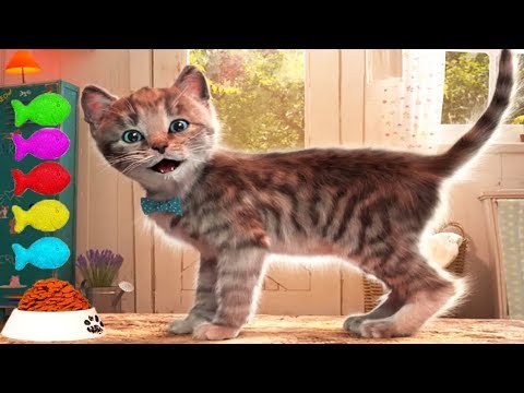 Lindo Gatito Aventuras - Dibujos Animados Infantiles - Episodio 10
