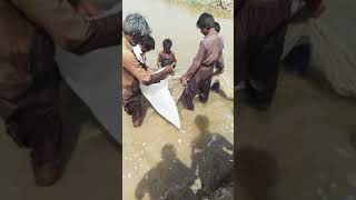 preview picture of video '#Fishing first #haleji #sindh'