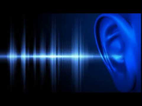 Rugido Do Leao Da Africa