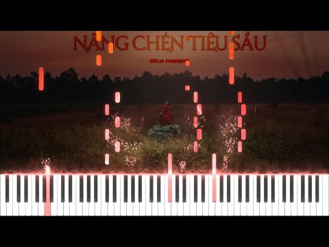 Nâng Chén Tiêu Sầu - BÍCH PHƯƠNG - Cover + Sheet Piano - Piano Tutorial