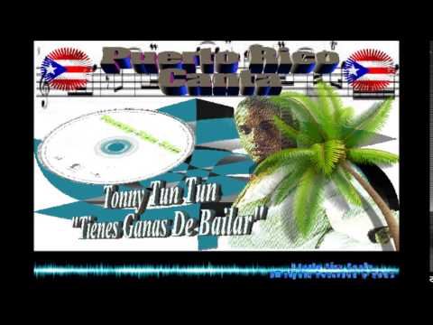 Tienes Ganas De Bailar cover