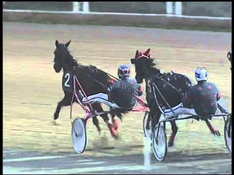 Trotto 30/11/2014 - 5° corsa