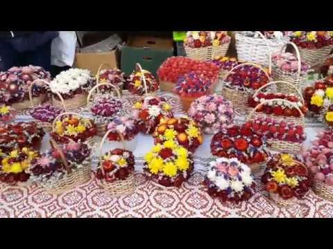 Potep po Ljubljani (Odprta kuhna, Puttijeva Giganta) I Amadeja's Vlogs