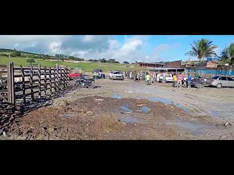 Feira do gado em Lajedo Pernambuco com Milton CDs divulgação 