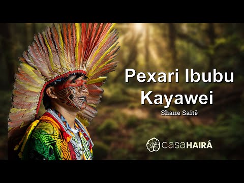 Pexari Ibubu Kayawei - SHANE SAITÊ - Grupo Kayatibu - Casa Hairá - Ayahuasca