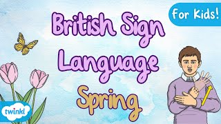BSL Spring Words | Spring Time | Learn Sign Language