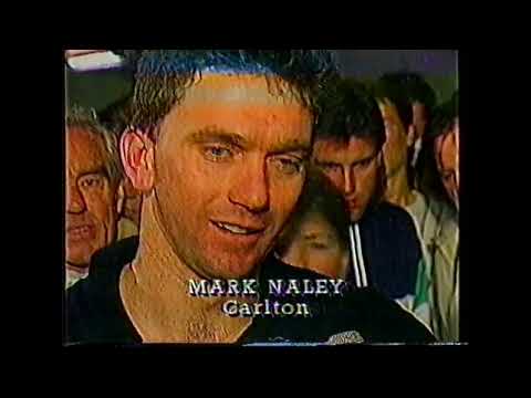 1987 2nd Semi Final, Carlton vs Hawthorn, Analysis by Tim Lane, John Nicholls, Bernie Quinlan