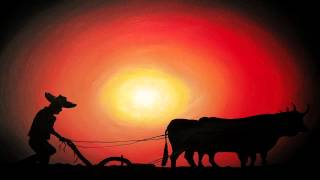 EL FUNERAL DE UN LABRADOR ~ ★ Los Felinos ★