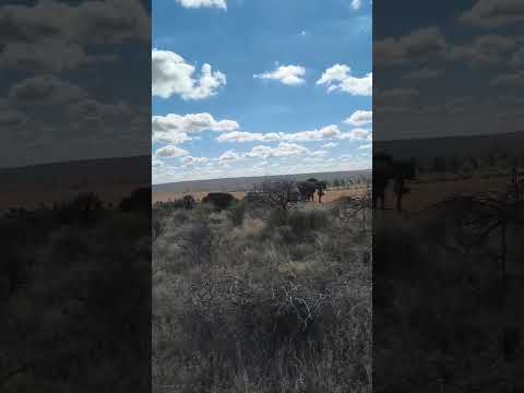 Cerro Colorado Norte De Córdoba Argentina