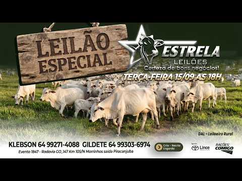 ESTRELA LEILÕES  - AO VIVO - 15/09/2026  -  19H - MORRINHOS - GOIÁS