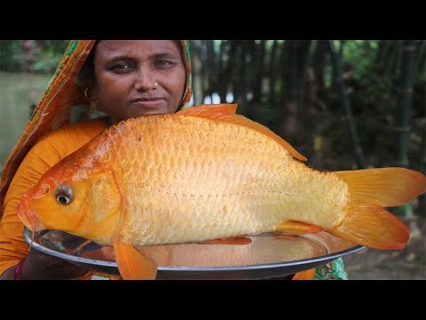 Village Food Golden Carp Fish Recipe Easy Alive Fish Jhol Curry Red Carp & Mirror Carp Fish Cooking Video