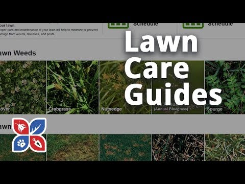  Do My Own Lawn Care - Lawn Care Guides Video 