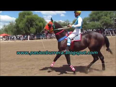 Plumas Verdes, Pista Pangare - Cruz del Eje (09-12-18)