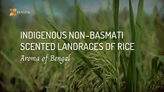 Aromatic Rice of Bengal