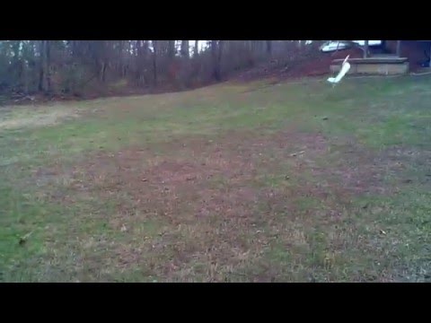 P120615C   WHERE'S THE PLANE?