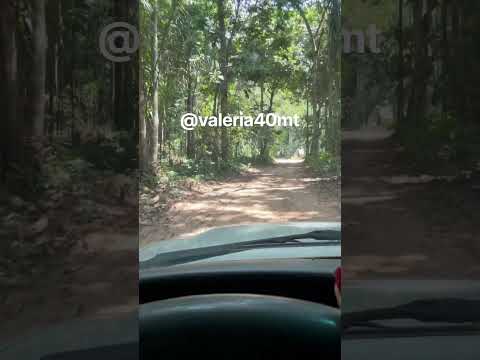E a maior alegria vir nesse paraíso Guarantã do Norte MT Instagram @valeria40mt