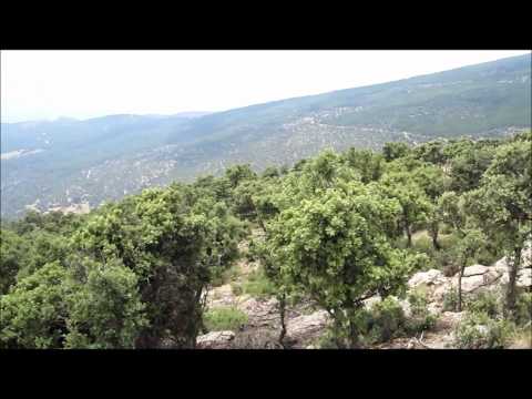 Estaciones de Monitoreo Intensivo Sierra Nevada EMI05a.wmv