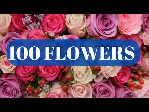 FLOWERS of the World - Names of 100 Different Types of Flowers #flowers