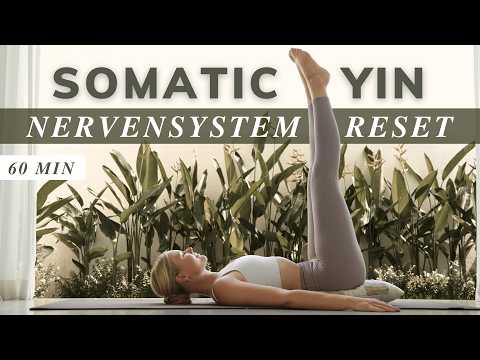 60 Min Ganzkörper Yin Yoga mit somatischen Übungen | Nervensystem regulieren & tief entspannt fühlen