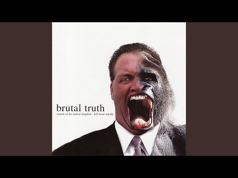 Everflow video thumbnail