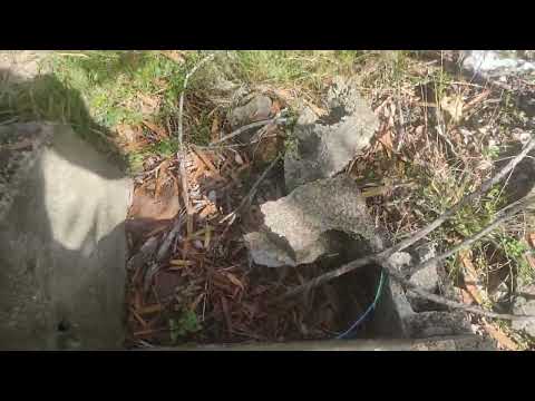 Oceanía del Polonio 6 de febrero de 2026_2