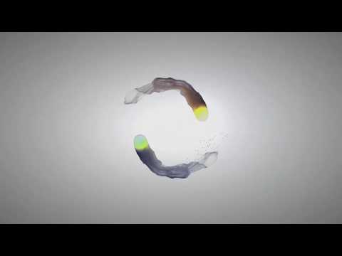 Vjerovanje sljedbenika sunneta po pitanju ashaba 3 -Vasitijska akida- 42. dio - Jasmin Durić, prof.