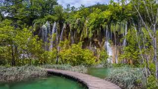 DONT BREAK MY HEART   SHANICE