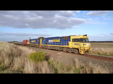 5MP2 InfraBuild / Liberty Steel Train With Pacific National NR42 & NR9 (1/6/2023) - PoathTV Railways