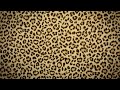 Leopard Print Aesthetic 5 Hour Loop Background