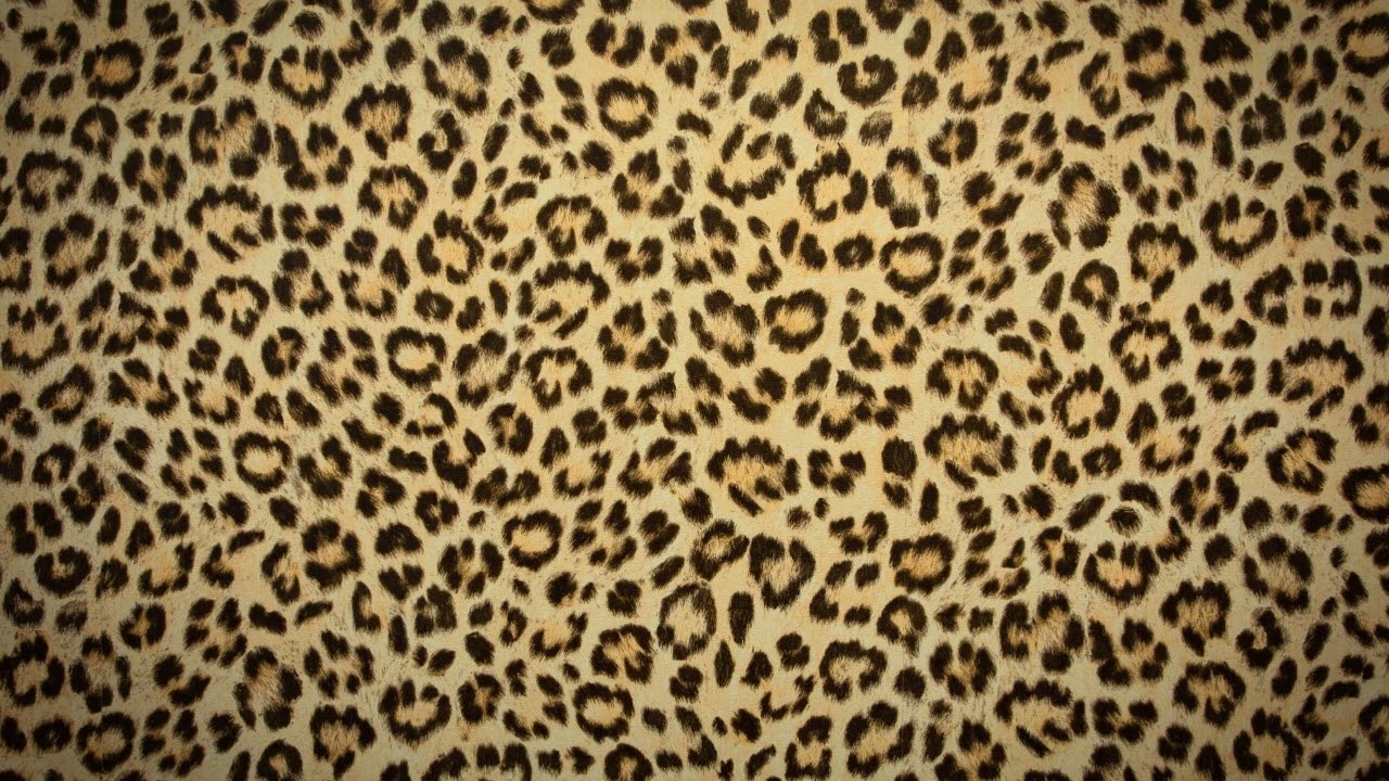 Leopard Print Aesthetic – 5 Hour Loop Background