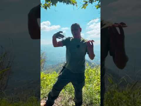 Como comiamos los combatientes en el cerro de Guazapa_ #naturaleza_ #Guerra_ #El Salvador_