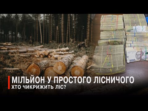 На Волині правоохоронці у рядового лісничого знайшли майже 1 млн грн готівкою