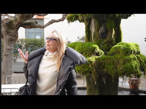 Tara Shaw | European Antique Shopping 101 | Day 6 L'Isle-sur-la-Sorgue