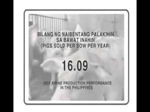 Ay posible na mawalan ng timbang na may berdeng tsaa na may luya Uminom ng mint slimming review