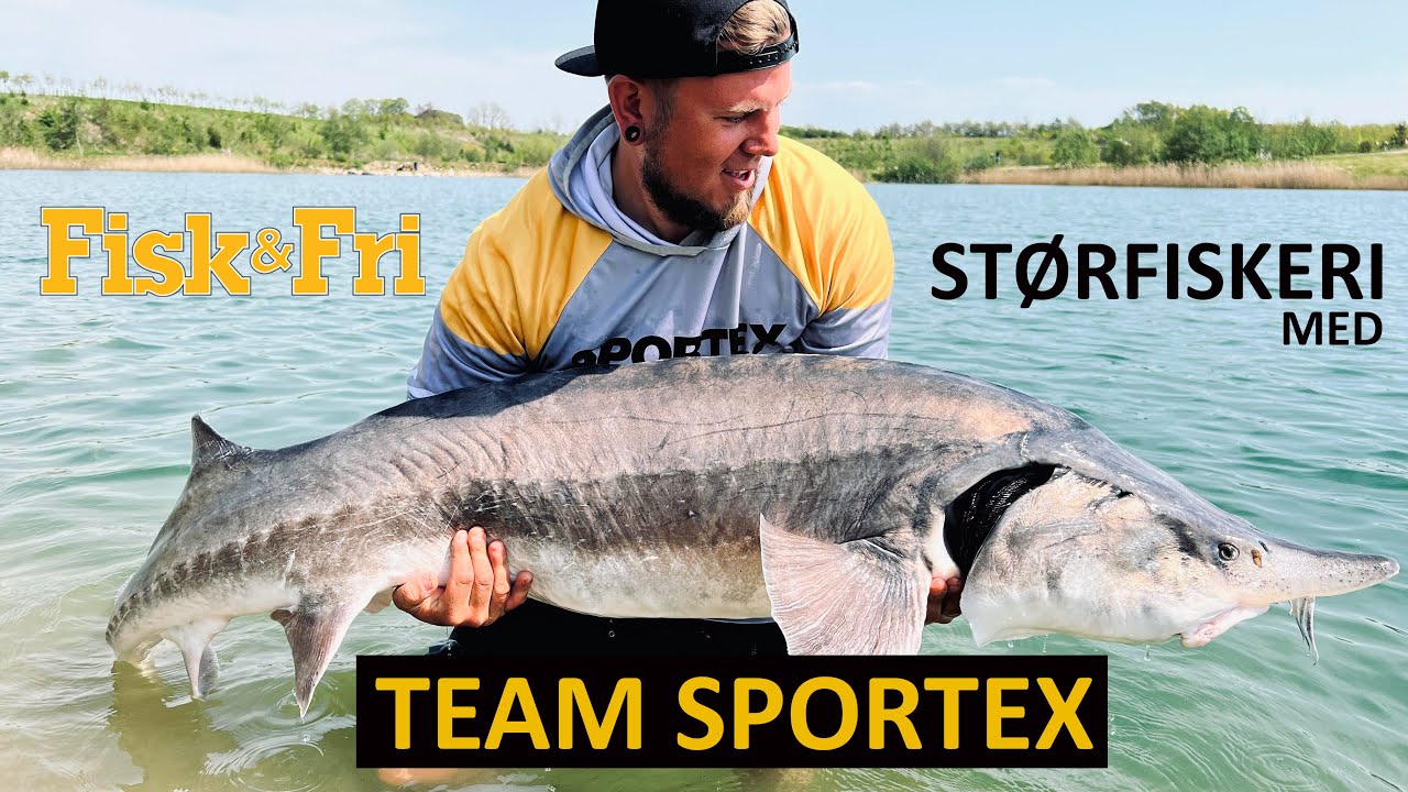NY VIDEO: STØRFISKERI MED TEAM SPORTEX
