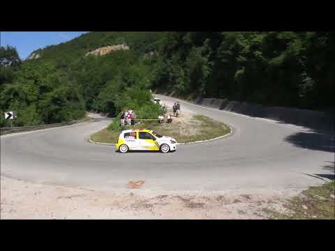 Borko Simovic - Brdska trka Tara 2023 - Renault Clio 2.0 RS