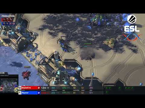 Reynor vs Bly ESL Open Cup #13