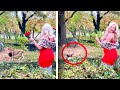 Woman Climbs Into Lion Enclosure At Bronx Zoo