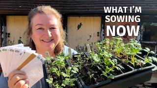 What I’m Sowing Now 🌱 Flowers I’m Growing From Seed This Year // Cottoverdi