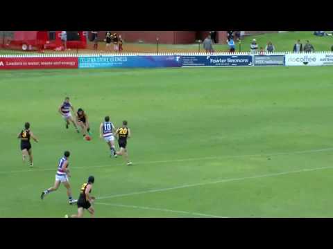 BankSA Rookie - Darcy Fogarty (Glenelg)