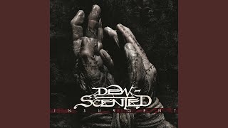 Soul Poison (Live 2012)