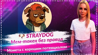 🐶 StrayDog — мем-токен без правил | Обзор и перспективы 🚀