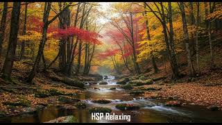 Beautiful Relaxing Music   Stress Relief Music   Sleep Music   Calming Music – HSP – 0422