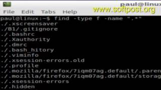 How to find all hidden files using find command in Unix