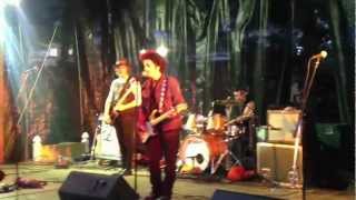 Willie Nile Midnight Rose Live at Free Concert Woodbridge, NJ 6_6_12