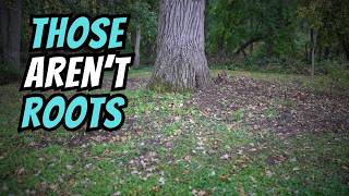 We Were Digging at an 1880s Homestead…Then This Happened MQDEFAULT Thumbnail